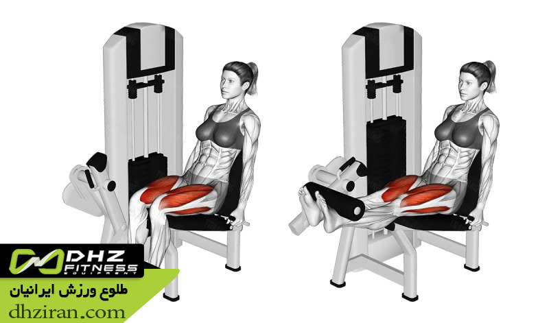 جلو پا دستگاه Leg Extension: 